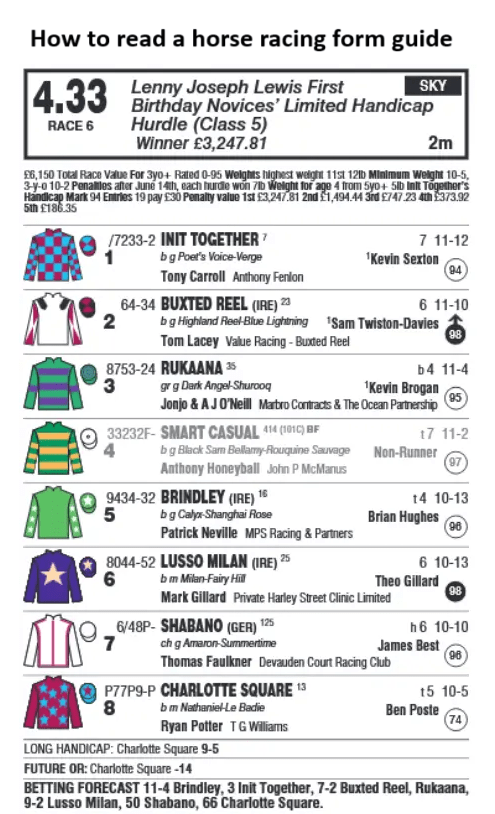 horse racing form guide